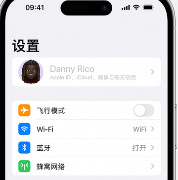 瑞昌appleID维修服务iPhone设置中Apple ID显示为灰色无法使用