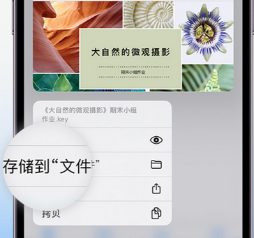 瑞昌apple维修中心分享iPhone文件应用中存储和找到下载文件