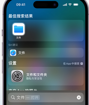 瑞昌apple维修中心分享iPhone文件应用中存储和找到下载文件