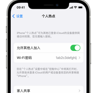 瑞昌apple服务站点分享iPhone上个人热点丢失了怎么办