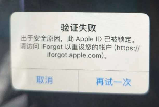 瑞昌iPhone维修分享iPhone上正常登录或使用AppleID怎么办 