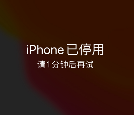 瑞昌苹果手机维修分享:iPhone 显示“不可用”或“已停用”怎么办？还能保留数据吗？ 