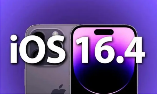 瑞昌苹果14维修分享：iPhone14可以升级iOS16.4beta2吗？ 