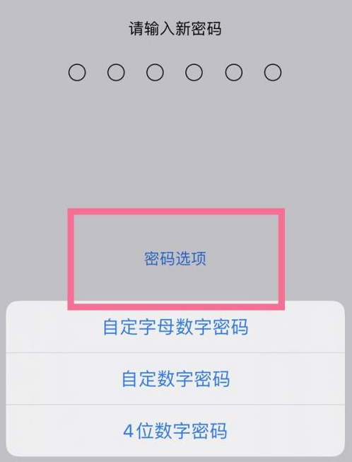 瑞昌苹果14维修分享iPhone 14plus设置密码的方法 