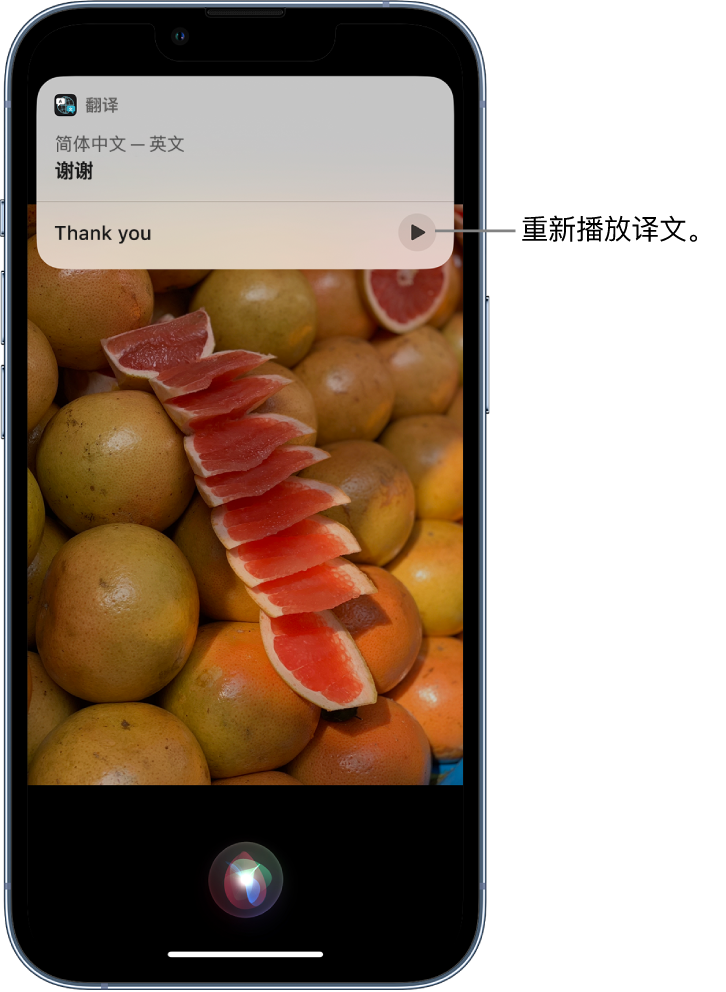 瑞昌苹果14维修分享 iPhone 14 机型中使用 Siri：了解 Siri 能帮你做什么 