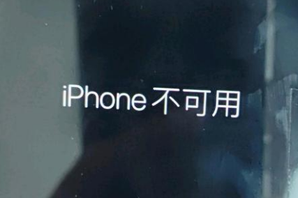 瑞昌苹果服务网点分享锁屏界面显示“iPhone 不可用”如何解决 