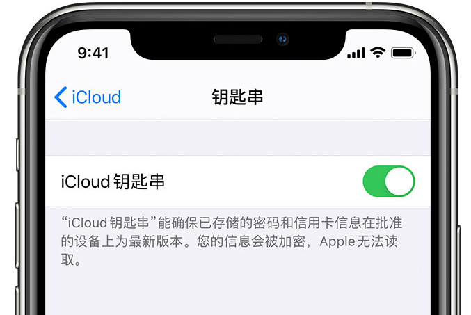 瑞昌苹果手机维修分享在 iPhone 上开启 iCloud 钥匙串之后会储存哪些信息 