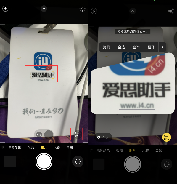 瑞昌苹果手机维修分享升级iOS 16后如何通过相机翻译文本 