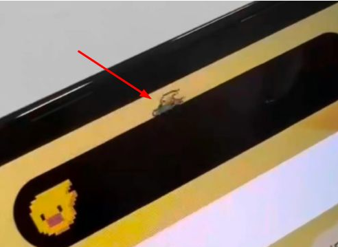 瑞昌苹果14维修分享iPhone 14 Pro Max灵动岛怎么养宠物 