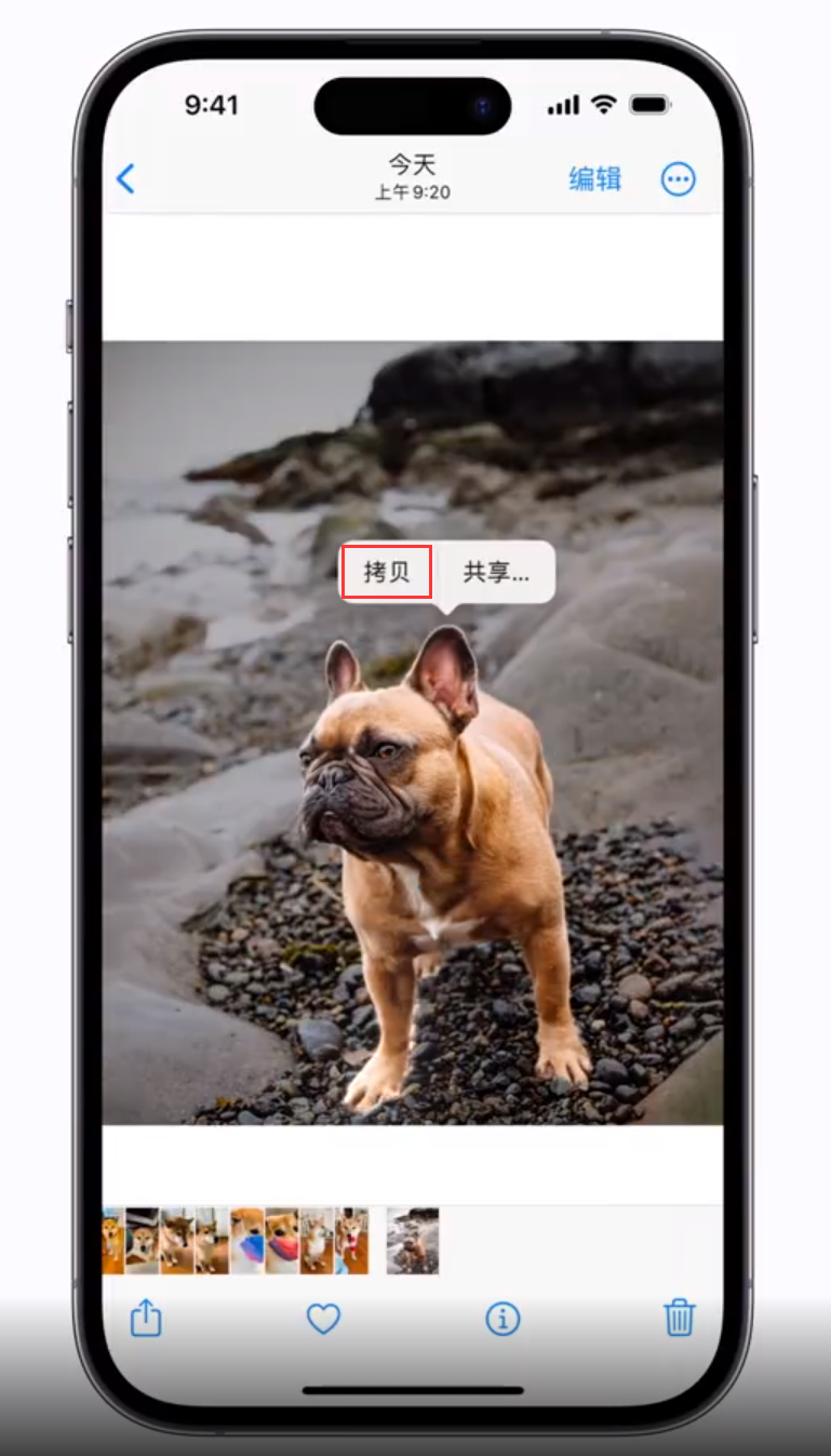 瑞昌苹果手机维修分享 iOS 16 自带一键抠图功能 