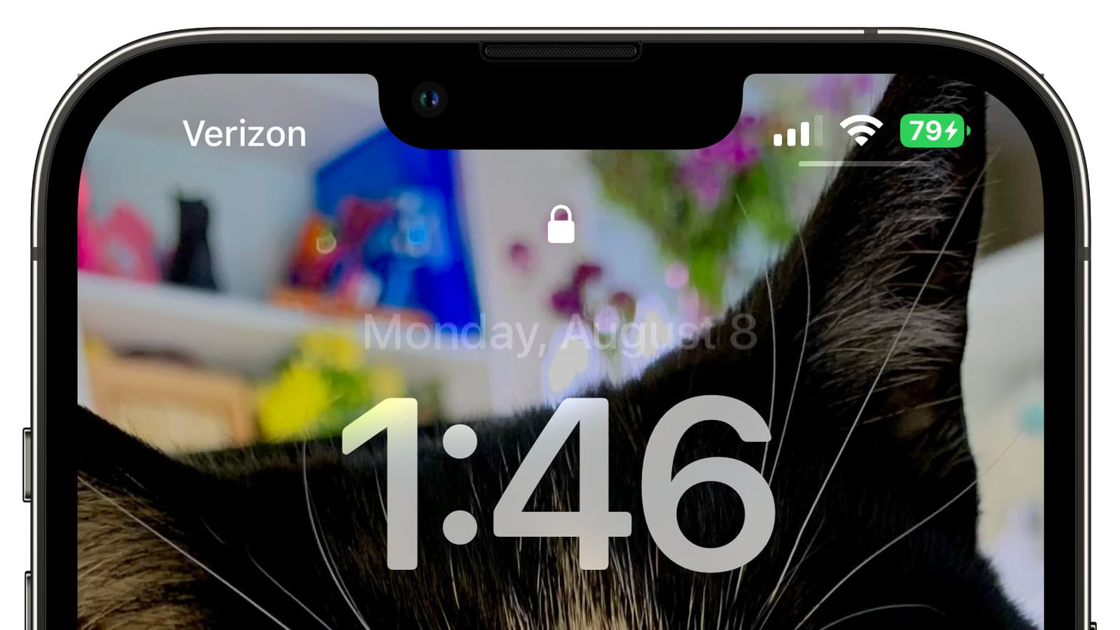 瑞昌苹果手机维修分享iOS 16 beta 5 支持状态栏显示电池百分比，如何开启？支持哪些机型 