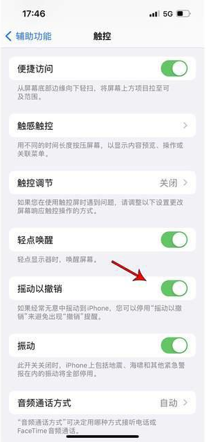 瑞昌苹果手机维修分享iPhone手机如何设置摇一摇删除文字 