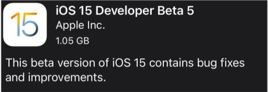 瑞昌苹果手机维修分享如何升级到iOS15.0 beta5 