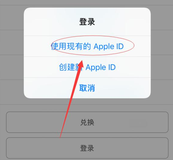 瑞昌苹果手机维修分享两台iPhone设备可以同时登录一个Apple ID吗 