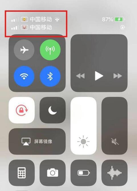 瑞昌苹果手机维修分享为 iPhone 12 双卡设置标签 