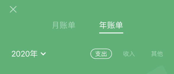 瑞昌苹果手机维修分享如何在 iPhone 上查看支付宝和微信年支出账单 