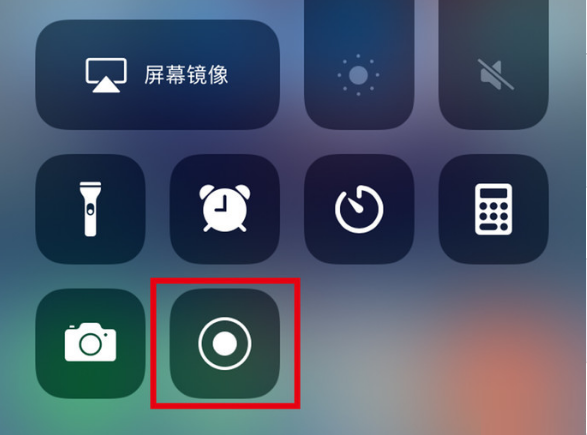 瑞昌苹果手机维修分享iPhone12录屏方法教程 