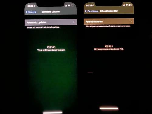 瑞昌苹果手机维修分享iPhone 12 显示黑色画面时发绿光怎么办 