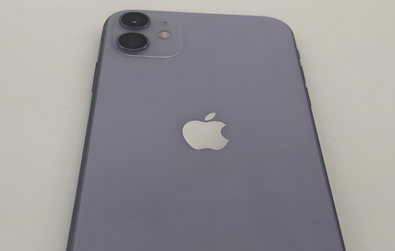 瑞昌苹果11系统维修分享iPhone11手机系统崩溃无法开机如何解决 