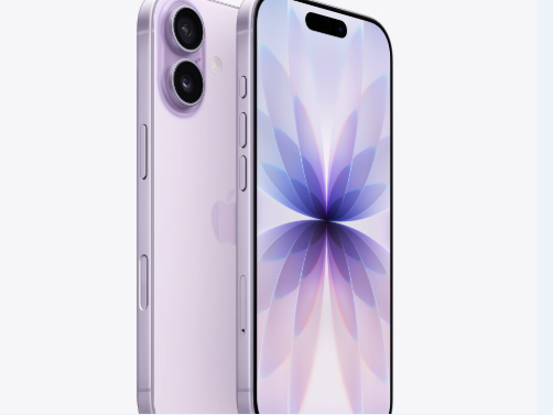 瑞昌苹果维修点分享iPhone 17锁屏密码使用参考 
