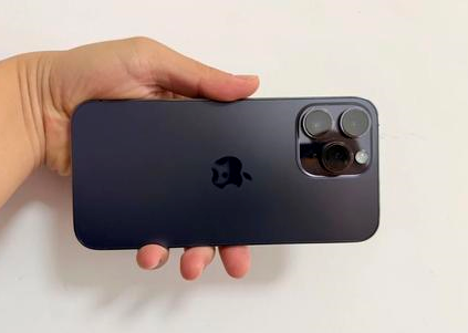 瑞昌苹果维修点分享iPhone 14 Pro Max黑屏少见故障盘点 